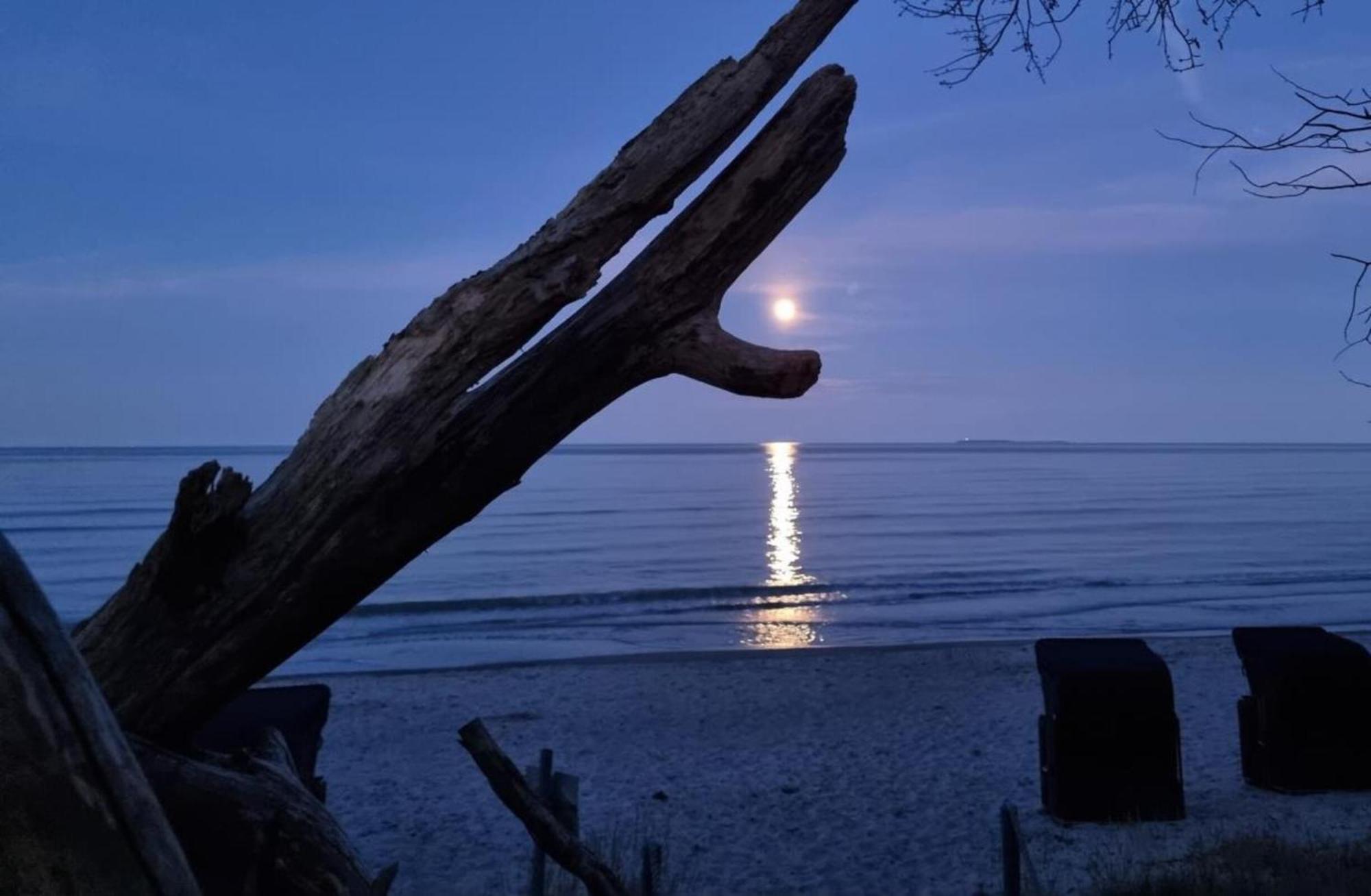 Traumhaftes Appartement - Odins Blick Wohnung 13 , Sauna Und Privatstrand, Blick Zur Ostsee Lobbe Zewnętrze zdjęcie